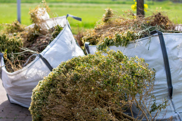 Best Shed Removal  in Derby, KS